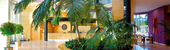 Hotel Albir Playa & SPA