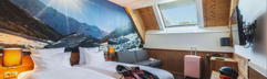 alpine-hotel-snowworld (5).jpg