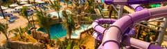 atlantis-the-palm (10).jpg