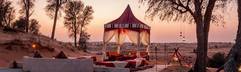 Bedouin Oasis Desert Camp