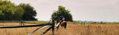 BoerenBed Ecuries de Gapennes buiten