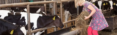 BoerenBed Hoeve Zeeland