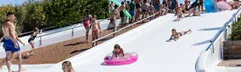 Kinderen glijden met en zonder zwembanden van de brede, zachte glijheuvel in het lagune zwembad van de kindvriendelijke camping Park Albatros.