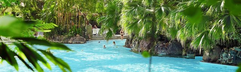 Overzicht van het tropische zwemparadijs Aqua Mundo in Center Parcs Bispinger Heide, met helderblauw water en weelderige groene planten en palmbomen