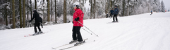 Center Parcs park Hochsauerland