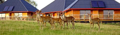 Cerza Safari Lodge