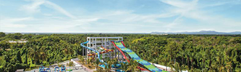 RIU Bambu