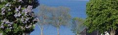 Denemarken rondreis 'Kaj'