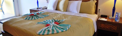 Divi Flamingo Beach Resort