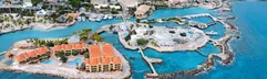 Dolphin Suites