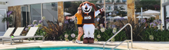 Dormio Resort Costa Blanca Beach & Spa