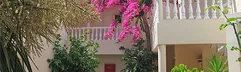Elotis Suites