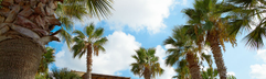 De sfeervolle, lichte gebouwen van Grecotel Club Marine Palace, prachtig gelegen tussen de hoge palmbomen en groene planten op Kreta.