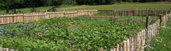 Omheinde moestuin of veld op de boerderij van Hohenwarter Seehof, waar kinderen meer kunnen leren over planten en groenten.