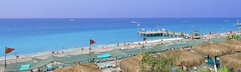 Delphin Botanik