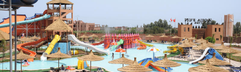 Aqua Fun Pickalbatros