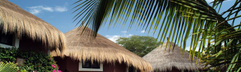 Hotel Neptune