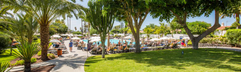 Hotel Occidental Margaritas