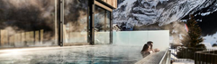 Hotel Spinne
