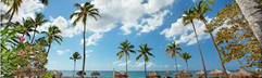 Hotel Viva Wyndham Dominicus Beach