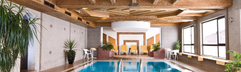 Hotel Almhof