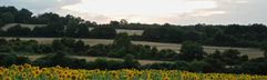 La Ferme de Penquelen