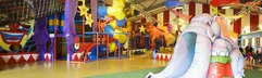 Een groot en kleurrijk indoorspeelparadijs bij Landal Aelderholt met een olifantenglijbaan, klimrekken en ballenbakken waar kinderen zich kunnen vermaken.