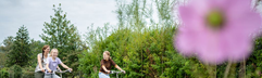 Een gezin met een kind fietst vrolijk op een fietspad door de groene omgeving van Landal Elfstedenhart in Friesland.