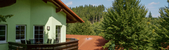Een vrijstaand, groen vakantiehuis met balkon midden in de bosrijke omgeving van de Harz bij Landal Salztal Paradies.