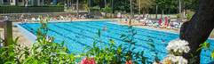 Camping Village Mare Pineta