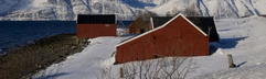 Noorderlicht in Tromsø