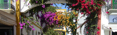 Familiehotel The Costa Taurito