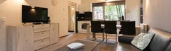 Overzicht van de moderne woonkamer met open keuken in een vakantiehuisje op Parc de Berkenhorst.