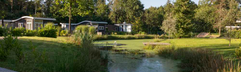 Uitzicht vanaf een houten vlonder op de rustige vijver en de groene, bosrijke omgeving van Resort Brunssummerheide.