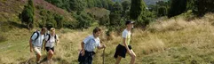 Bryrup Camping