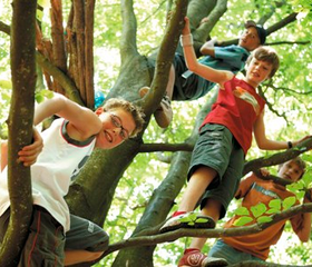 Ardennen Camping Bertrix
