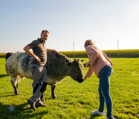 BoerenBed De Brabantse Hei