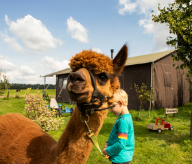 BoerenBed Hoeve de Betuwe