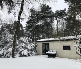 Een gezellig chalet op Bospark De Schaapskooi, omgeven door besneeuwde dennenbomen in een winters landschap.