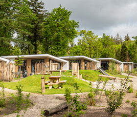 Vrijstaande vakantiehuisjes type Silva gelegen in het bos op Bospark Ede