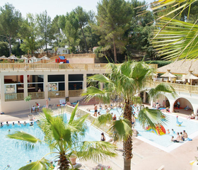 Camping Holiday Green