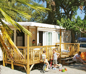 Camping Holiday Green