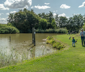 Camping Koningshof