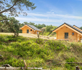 Moderne, houten chalets, de zogenoemde duinlodges, gelegen tegen een heuvel in het groene duinlandschap van Camping Loodsmansduin.