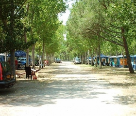 Camping Playa Brava