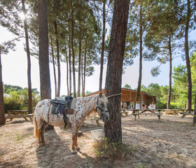 Camping Soustons Village