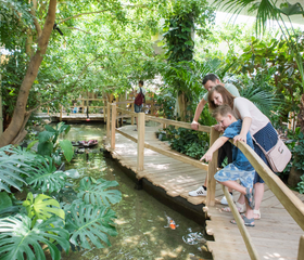 Een moeder en dochter kijken vanaf een houten brug naar de vissen in het water in de tropische jungle van Center Parcs Port Zélande.