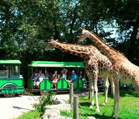 Cerza Safari Lodge