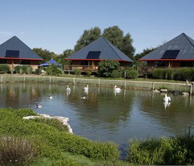 Cerza Safari Lodge
