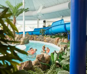 Kinderen dobberen in zwembanden in de lazy river van het subtropisch zwembad op Recreatiepark De Leistert, omgeven door rotsen en palmbomen.